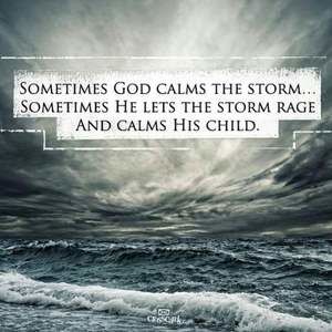 Meet your Posher, Sherry